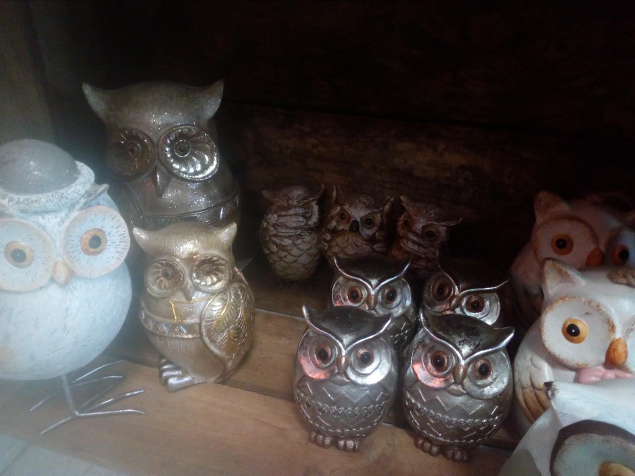 chouettes