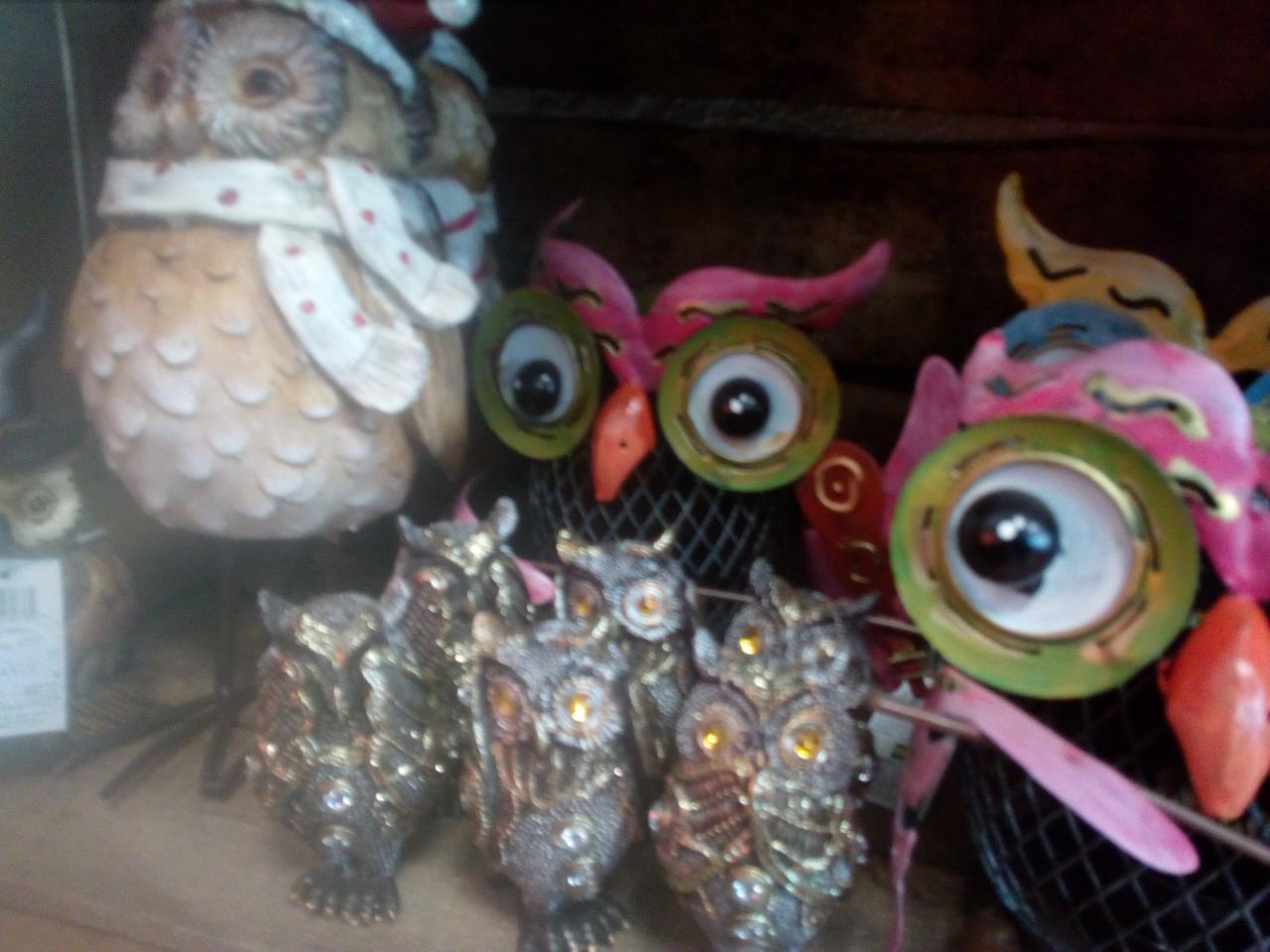 chouettes